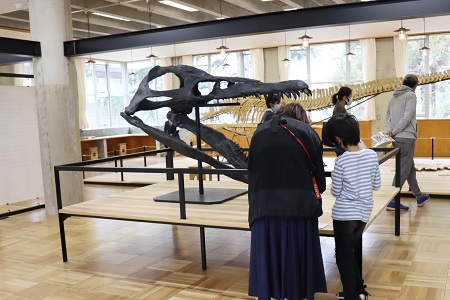 杉の森館　恐竜・化石ギャラリー