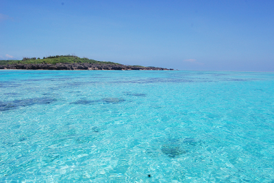 青い海と碧い海　——与論島と佐渡で新自然体験の旅を行いました——