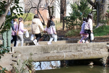 最後は成城池をお散歩して幼稚園に帰りました