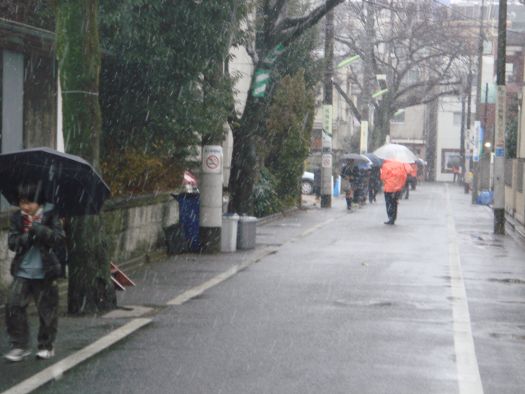 登校指導