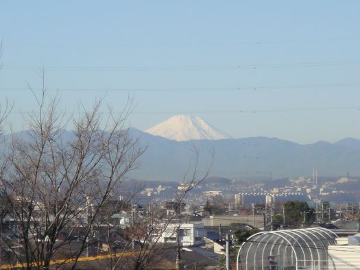 高校屋上から見える富士山