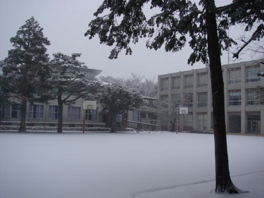 雪の朝