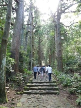 熊野古道「大門坂」を歩く