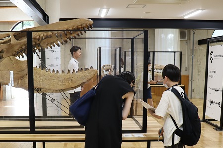 学園内にある恐竜・化石ギャラリーを見学する「じゅらしっくぱーく in  Seijo 」