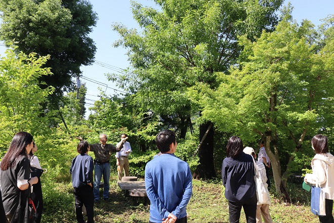 成城学園の植物を感じてみよう－自然観察会－