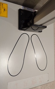 ⑮一度も行ったことのない人って、いる？