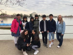 ワシントンD.C.の桜の前で