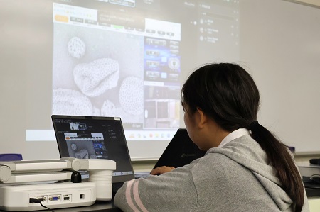 花粉が何百倍にも拡大されて画面に表示されました