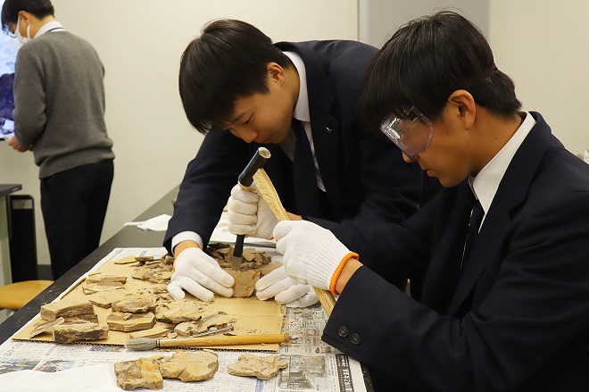 木の葉化石を探して30万年前の世界へタイムスリップ！　—中高生サイエンス教室—