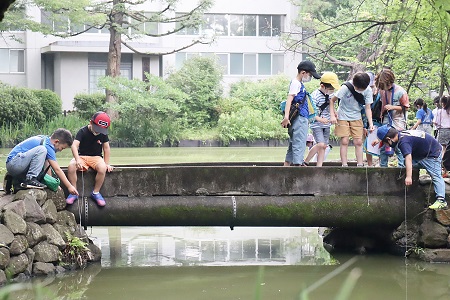 1年櫟組と2年桂組は協力して7つのミッションに挑戦。写真はミッションの1つ「ザリガニを1匹釣って先生に見せる！」