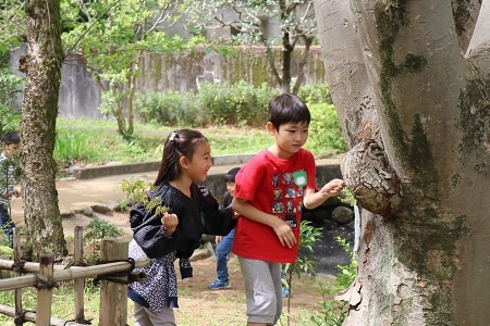 木にも何かを発見した様子