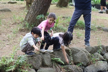 長い枝を発見。釣りができるかな