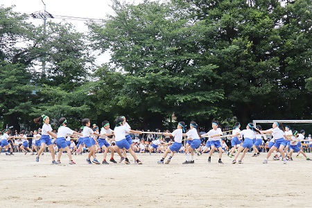 4年生による綱うばい