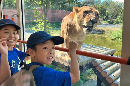 3年桂組は多摩動物公園へ。ライオンやチンパンジーなど、普段は見ることのできない動物たちを近くで見ることができました。