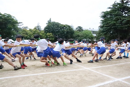 最初の種目は全学年によるユニット対抗綱引き