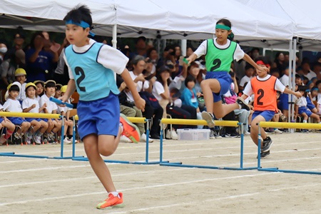 クラス対抗ハードルリレー(5年生)