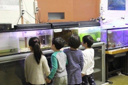 理科室の前には川の生物が水槽に展示されていました