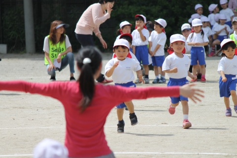 春の運動会（幼）