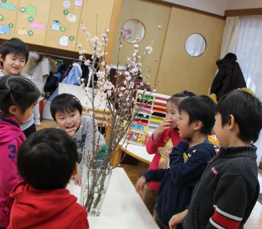 啓翁桜