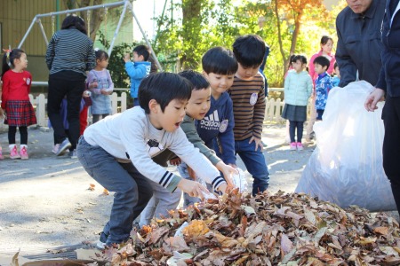 丁寧にお芋を落ち葉の上へ