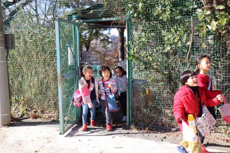 初等学校は幼稚園のすぐお隣。ドキドキしながら校舎へ向かいます