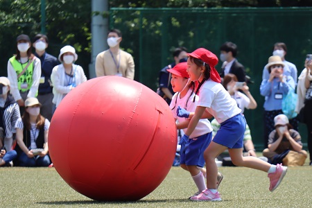 年中組・年長組合同の大玉転がし。二人で協力して転がして、次のお友達へタッチ